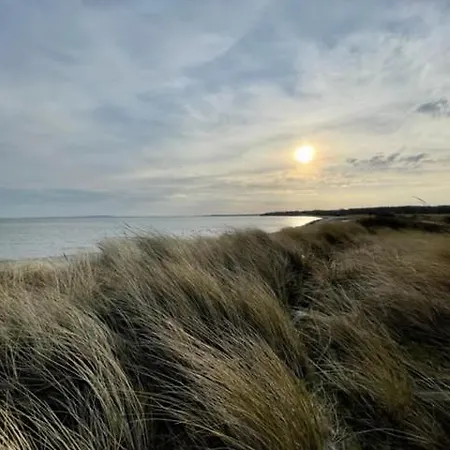 Strandgaenger *